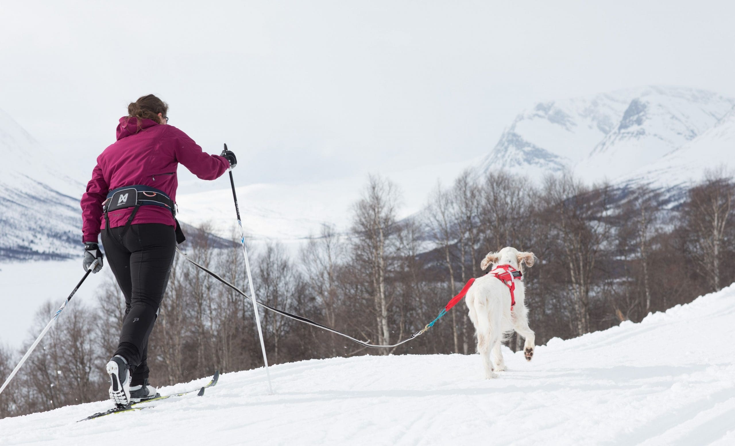 Trekking Belt - Bild 6