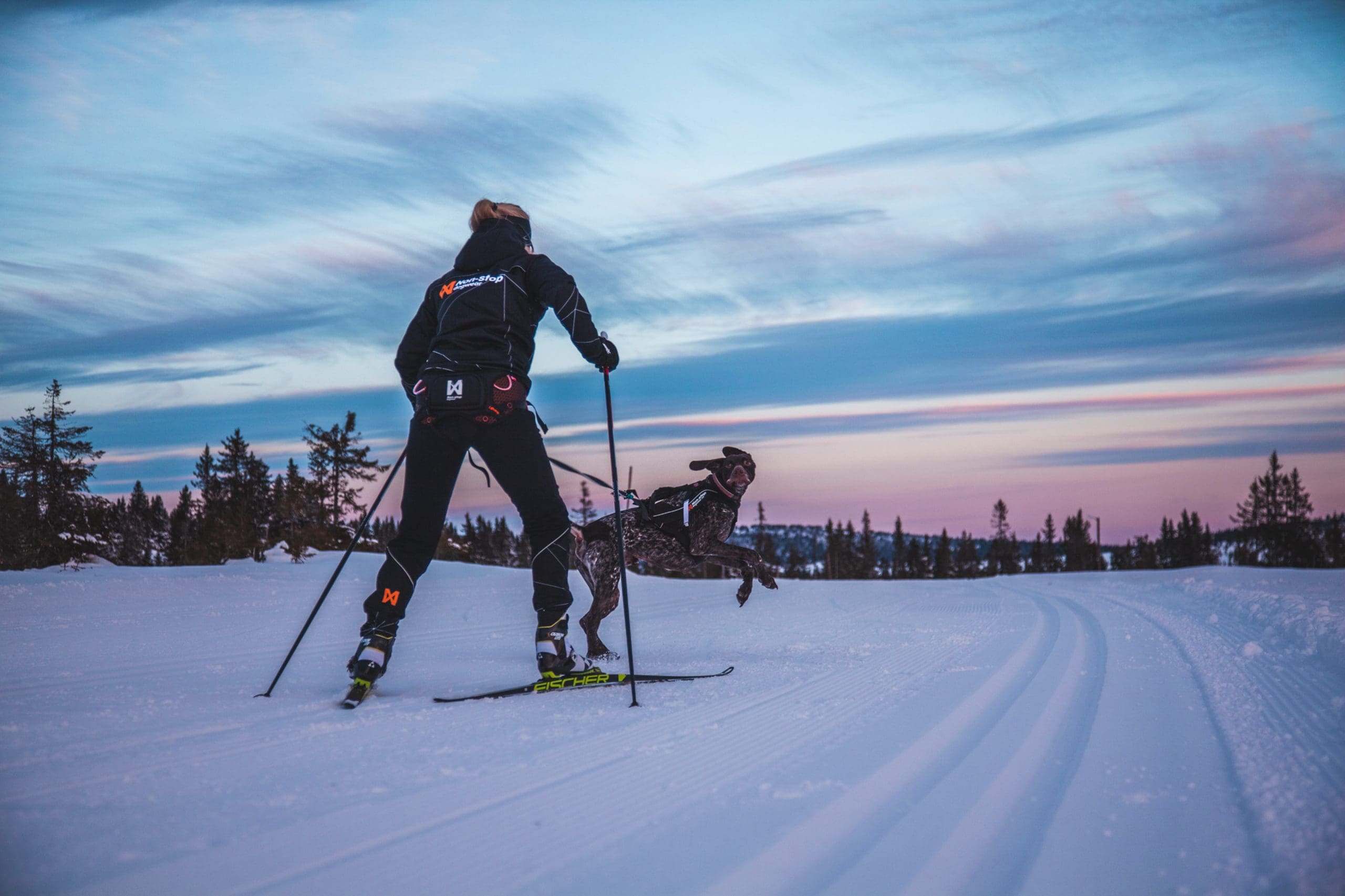 Løype Belt - Bild 6