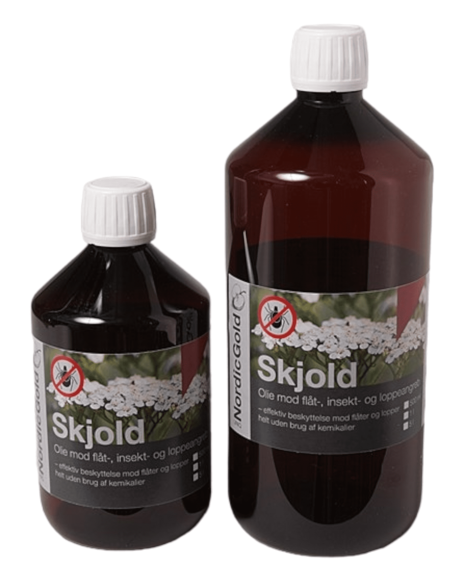 Skjold