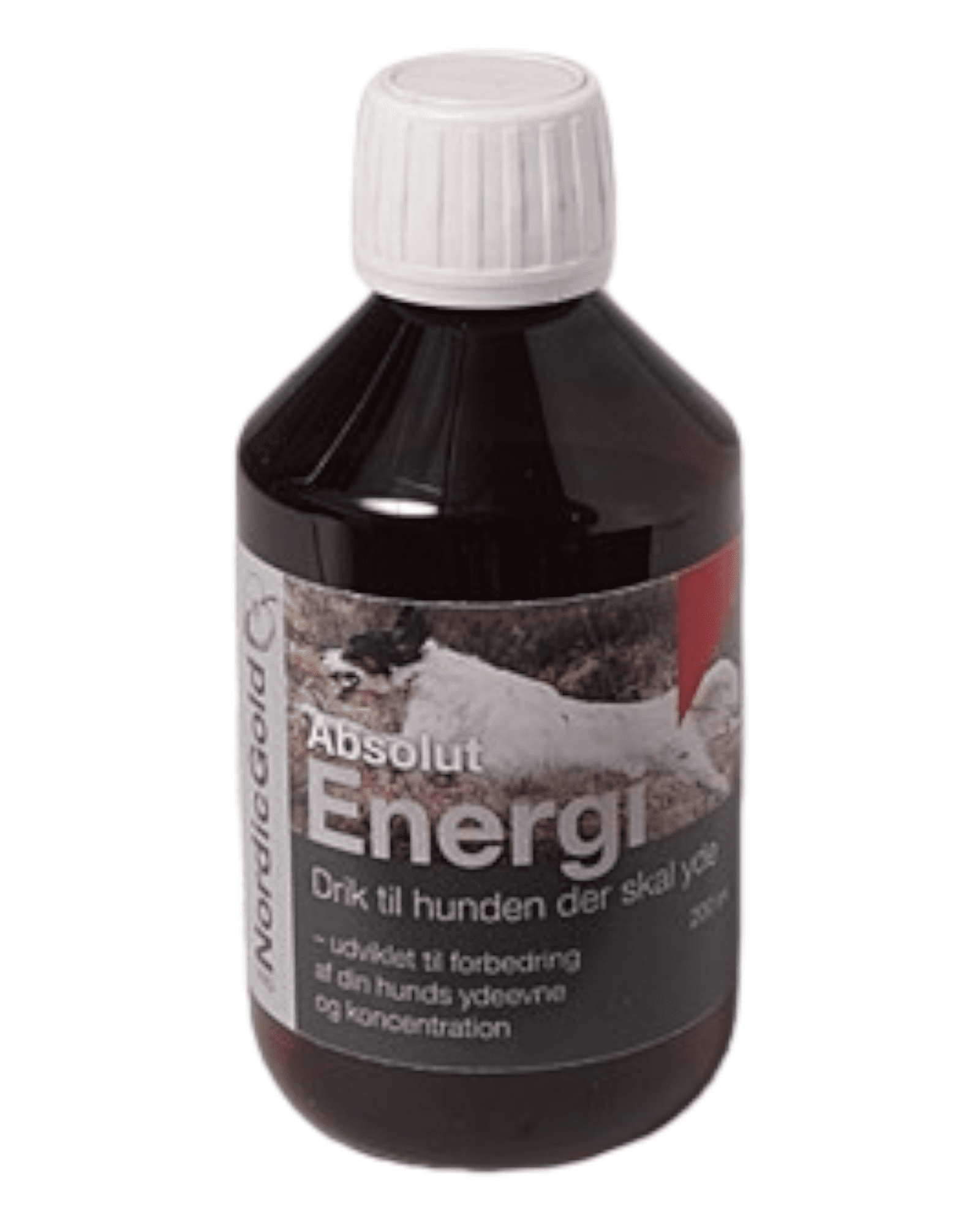 ABSOLUT ENERGI