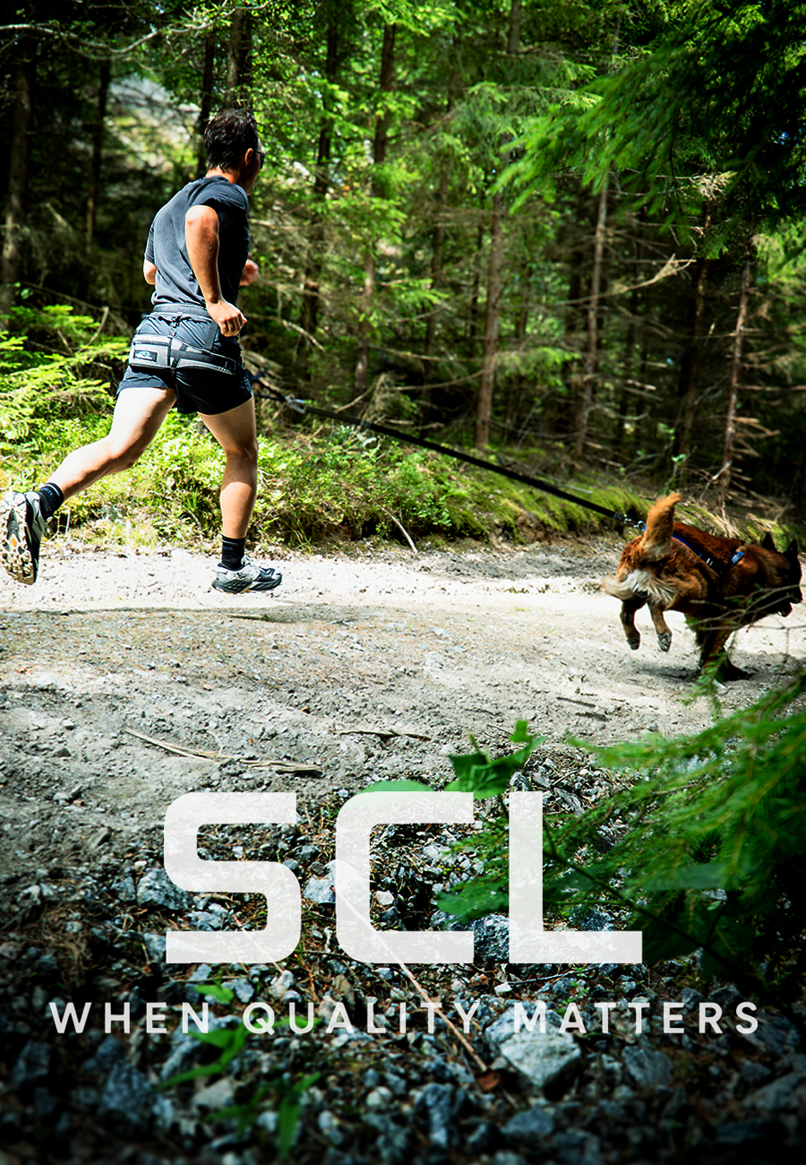 SCL-wcm 21