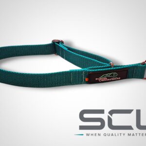 SCL Control Color