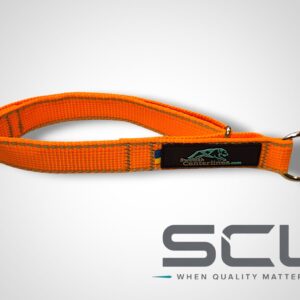 SCL Control Reflective Collar